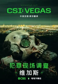 犯罪现场调查：维加斯 1-3季