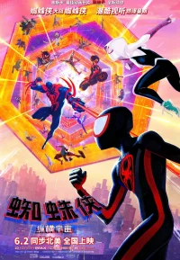 蜘蛛侠：纵横宇宙