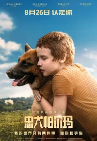 忠犬帕尔玛 1-2部