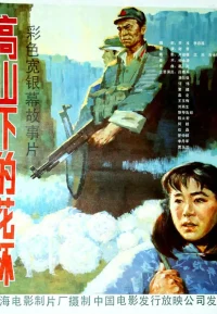 高山下的花环【豆瓣TOP188】
