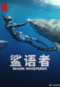 鲨语者
