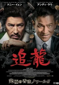 追龙合集