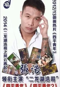 四平青年浩哥电影合集