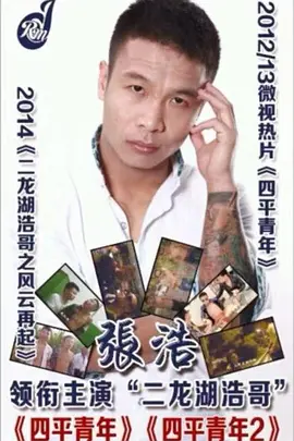 四平青年浩哥电影合集