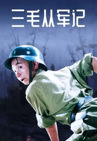 三毛从军记
